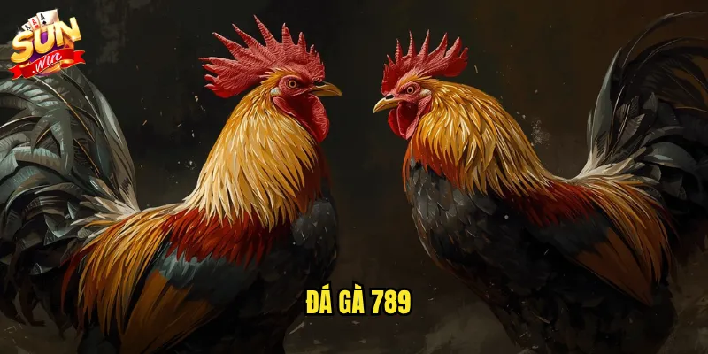 Sunwin đá gà 789 - Thương hiệu đá gà uy tín với tỷ lệ kèo hấp dẫn 2 Đá gà 789